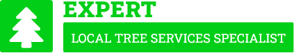 Havelock North Tree Services - Tree Removal Havelock North